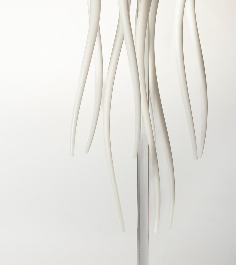Luce notturna Medusa galleggiante