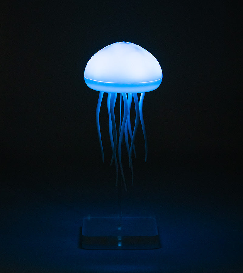 Luce notturna Medusa galleggiante