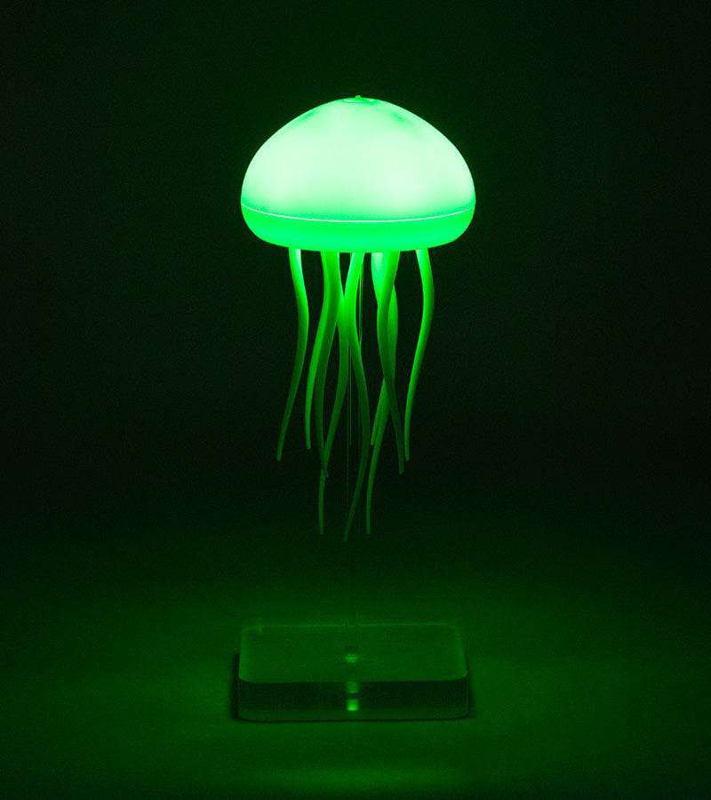 Luce notturna Medusa galleggiante