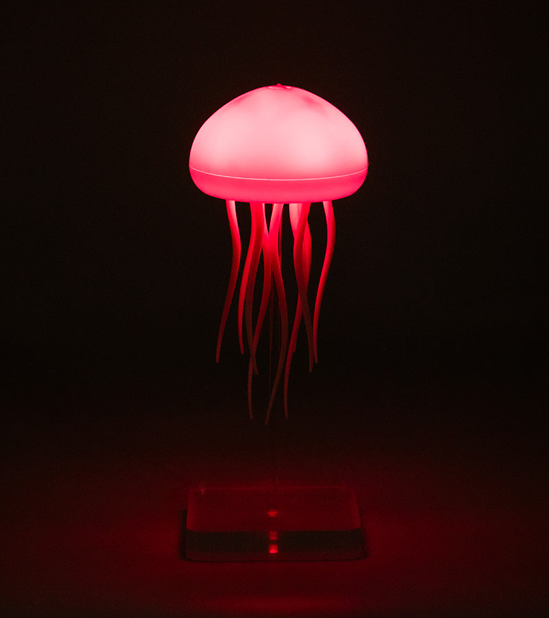 Luce notturna Medusa galleggiante