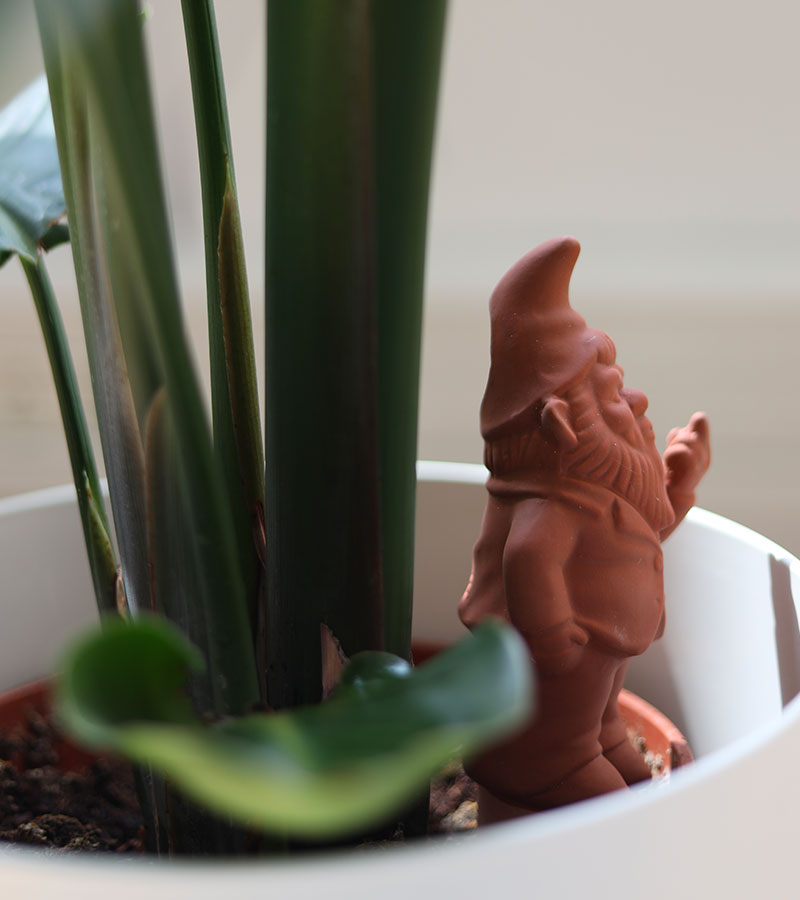 Gnomo annaffiatore in terracotta per piante