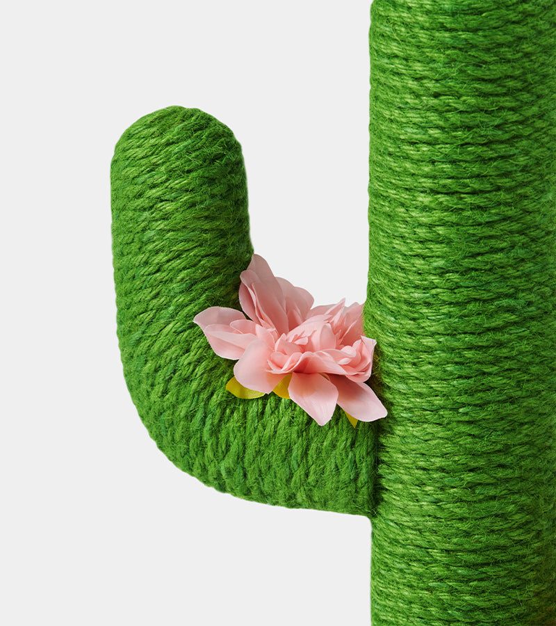 Albero per gatti - Cactus