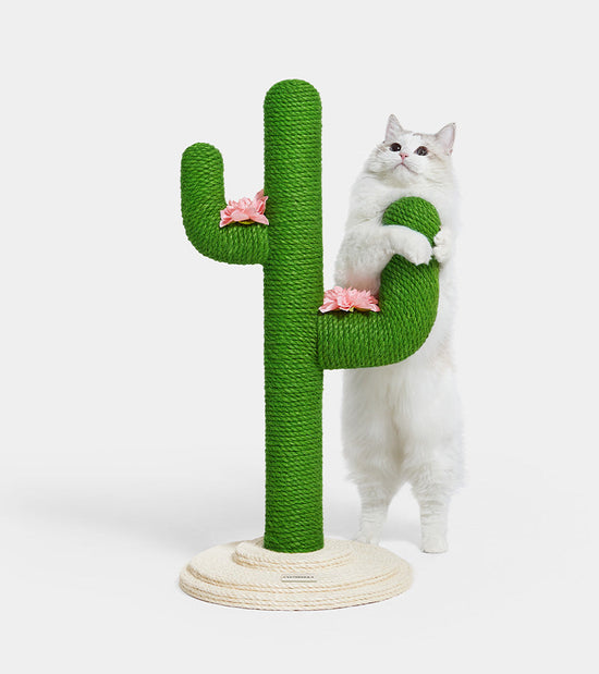 Albero per gatti - Cactus