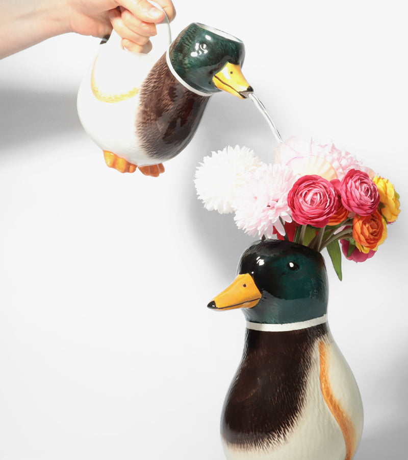 Arrosoir canard colvert