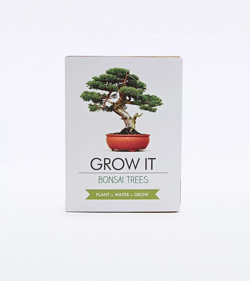 Kit per piantare bonsai