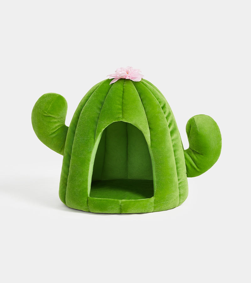 Casa per animali domestici Cactus