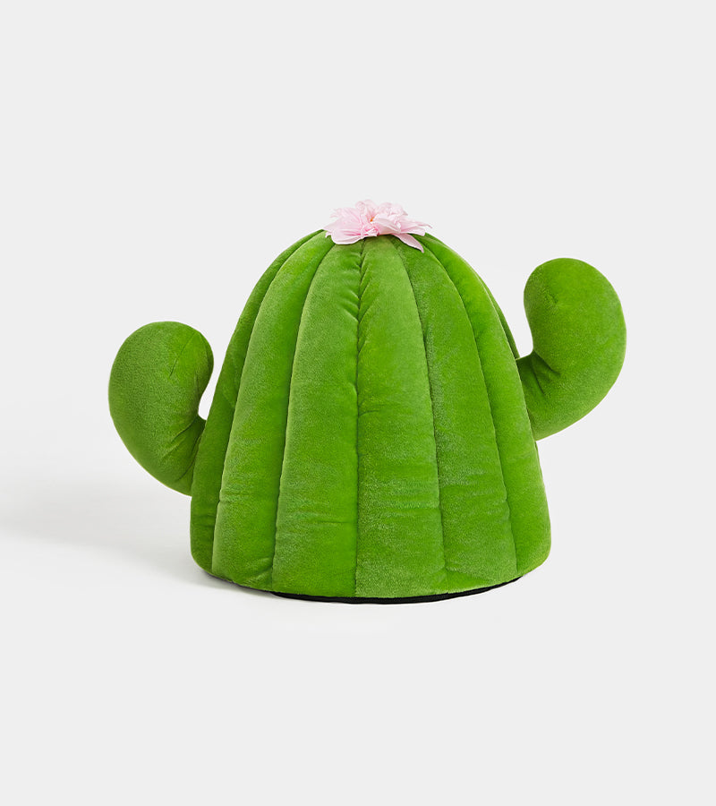 Casa per animali domestici Cactus