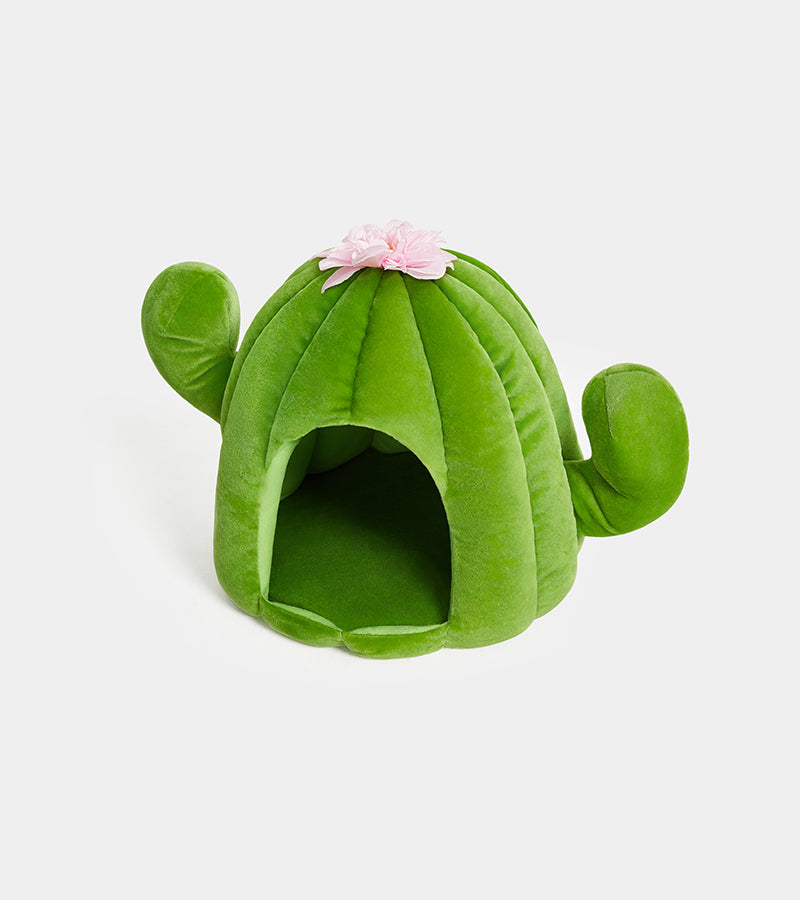 Casa per animali domestici Cactus