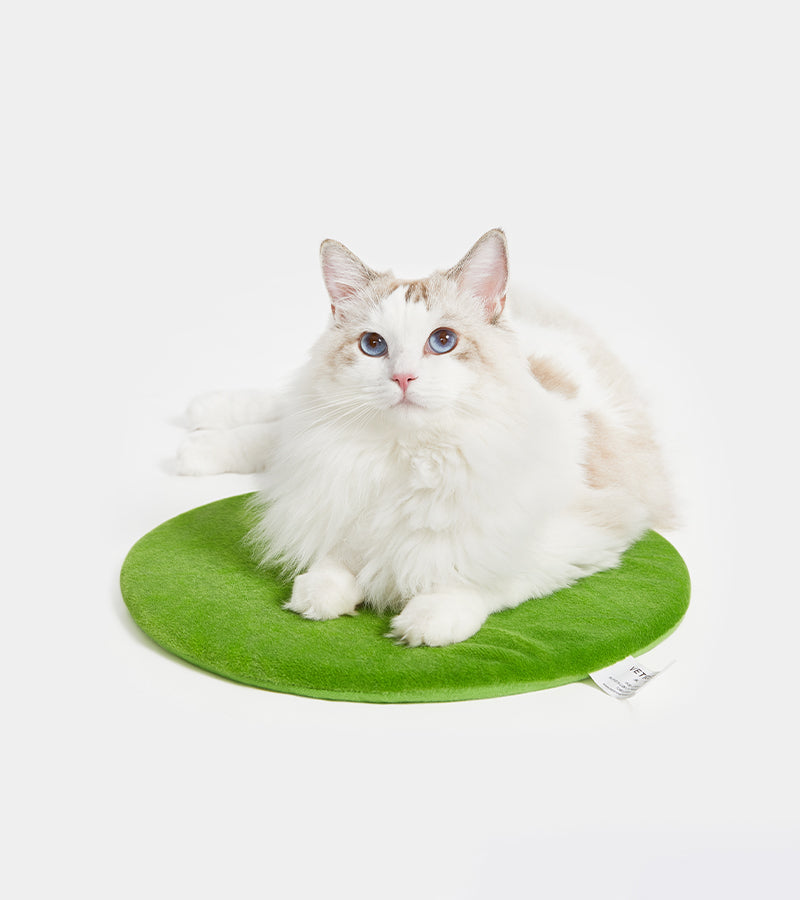 Casa per animali domestici Cactus