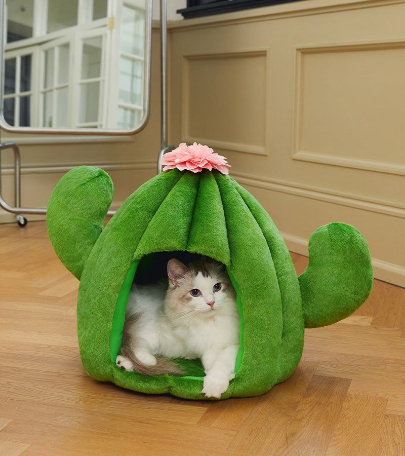 Casa per animali domestici Cactus
