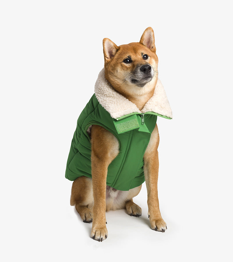 Giacca in piumino Sherpa per cani