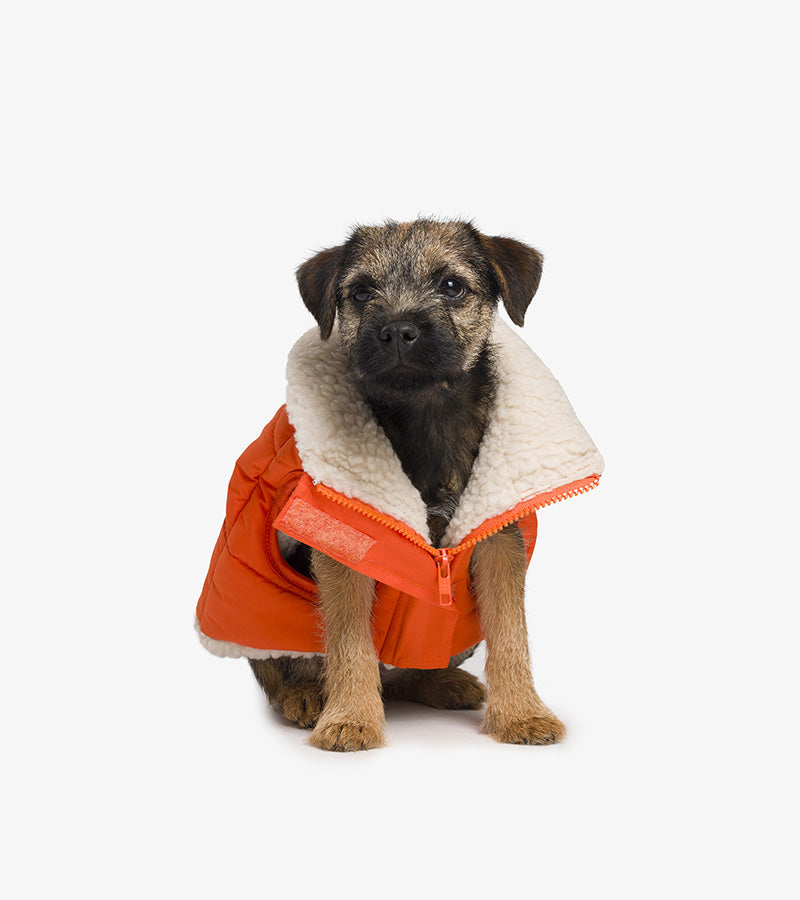 Giacca in piumino Sherpa per cani