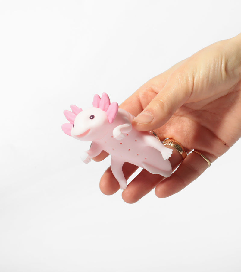 Infusore per tè Axolotl