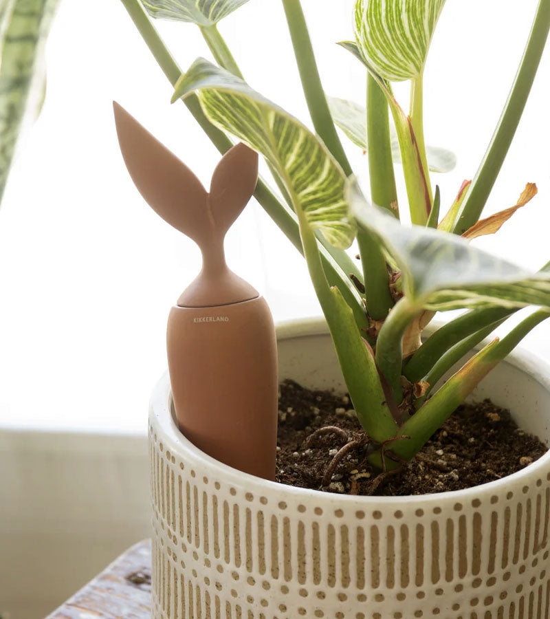 Irrigateur en terre cuite Kikkerland