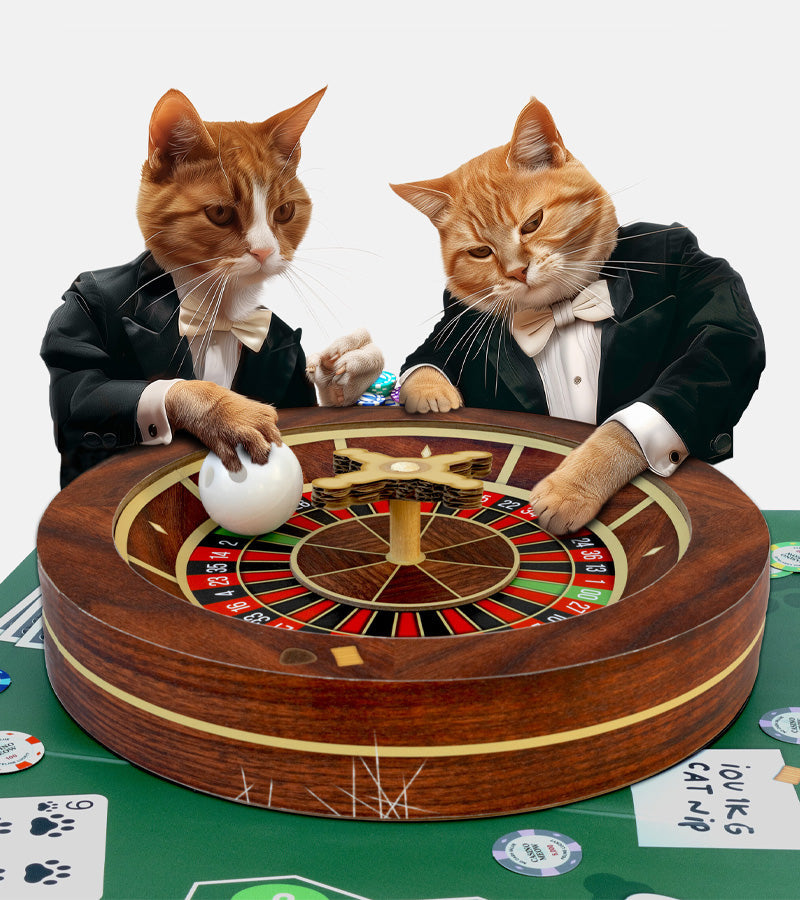 Gioco della roulette del casinò per gatti