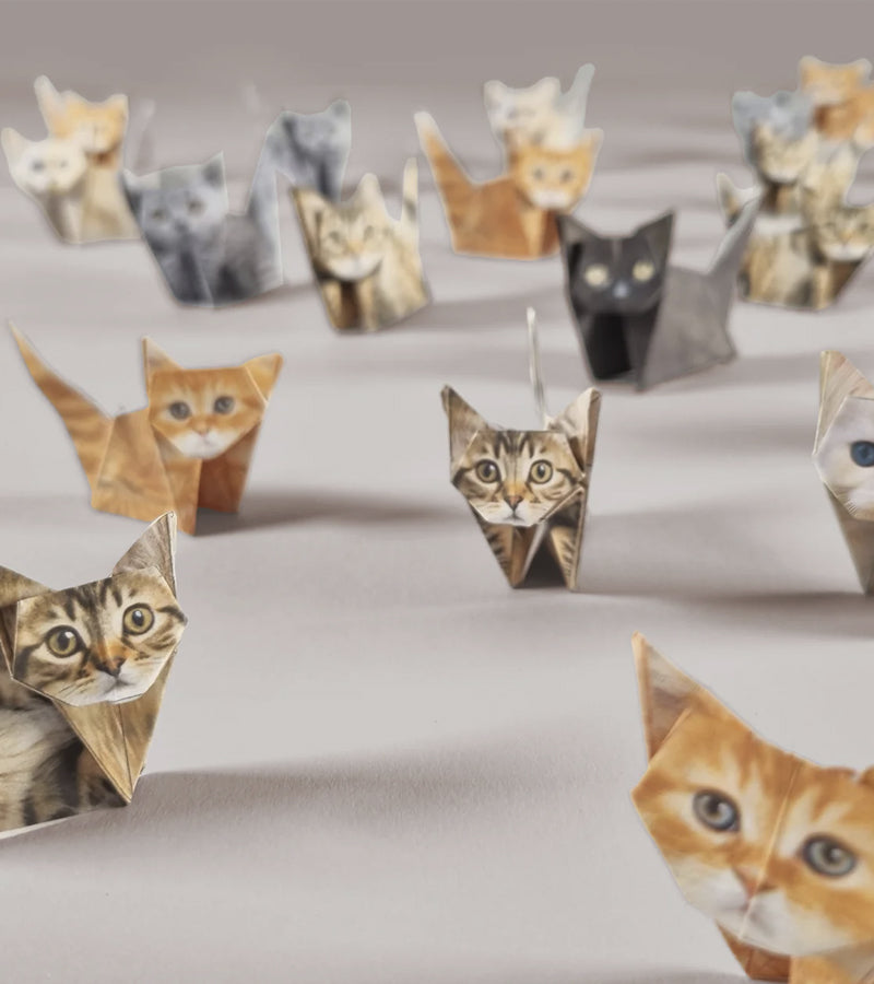 Mini-origami - Gatti