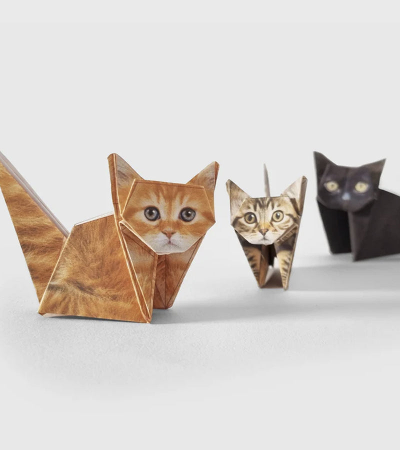 Mini-origami - Gatti