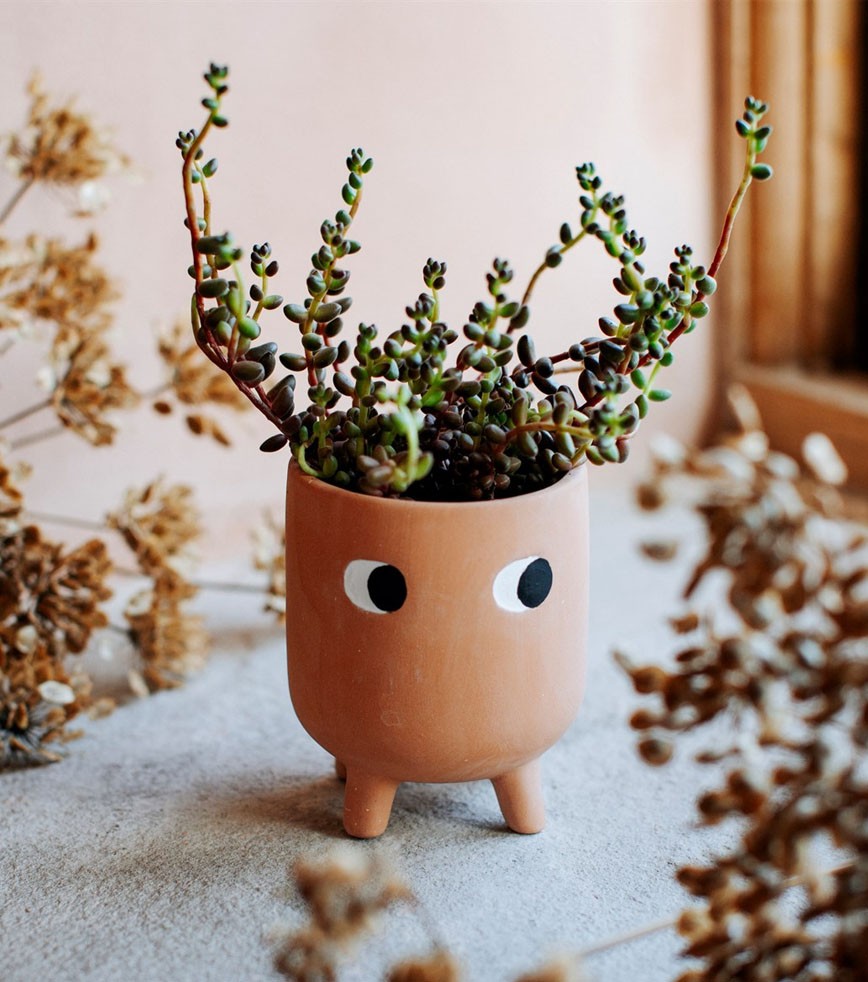 Piccolo vaso di fiori in terracotta