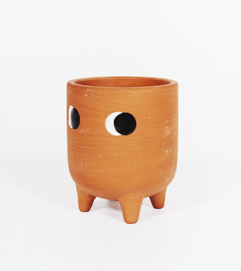 Piccolo vaso di fiori in terracotta