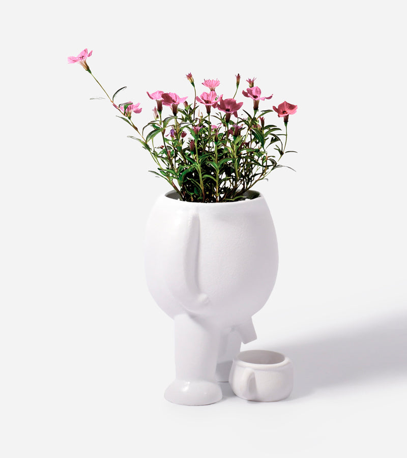Vaso per piante che fa pipì
