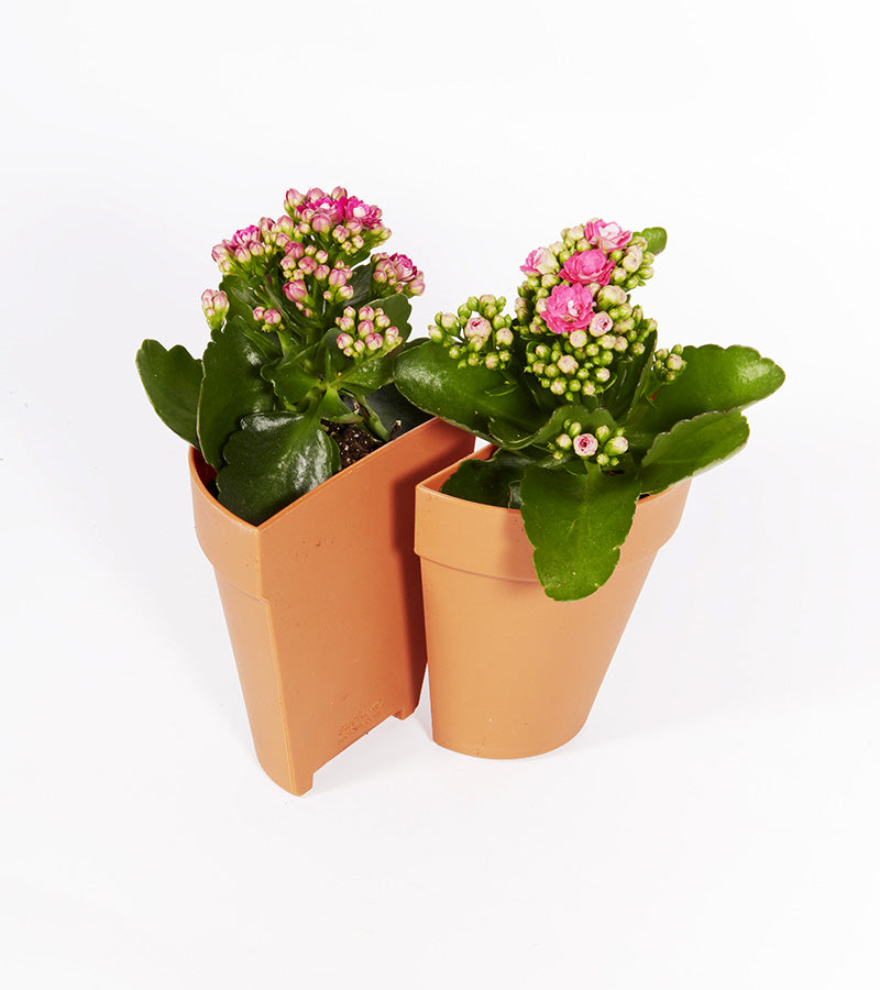 Serre-livres 2 en 1 / Pot à plantes