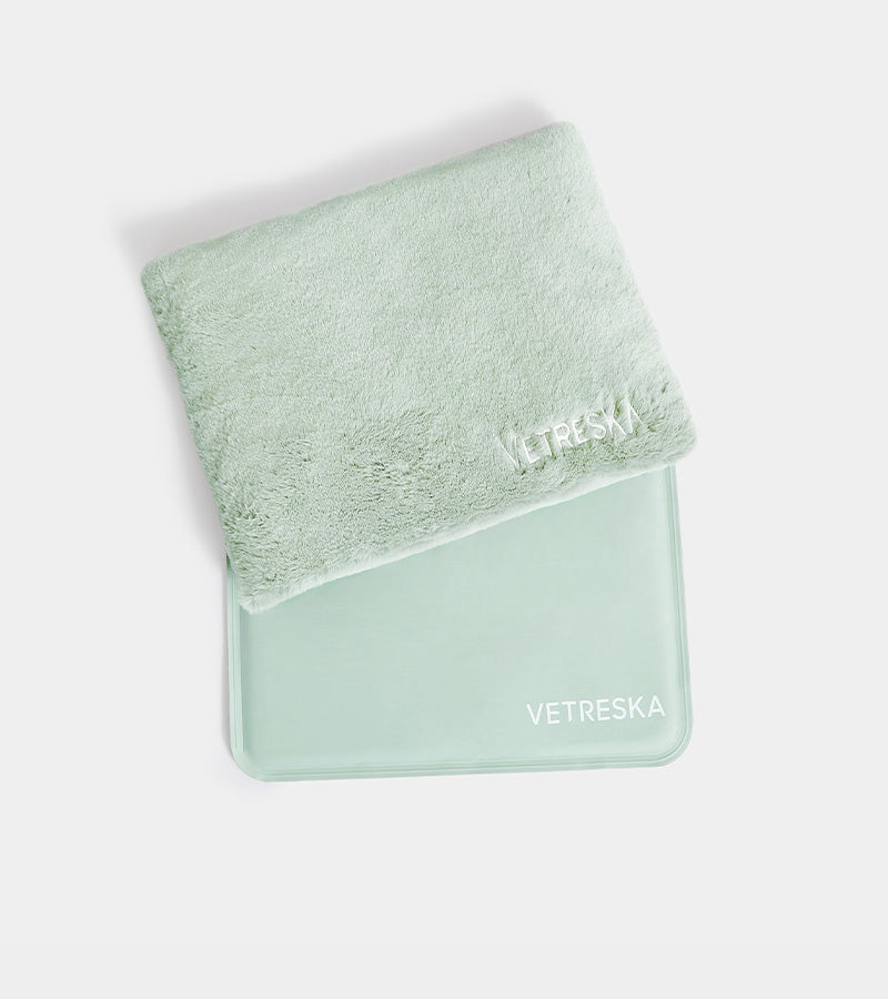 Valise Bubble pour animaux - Vert Vetreska