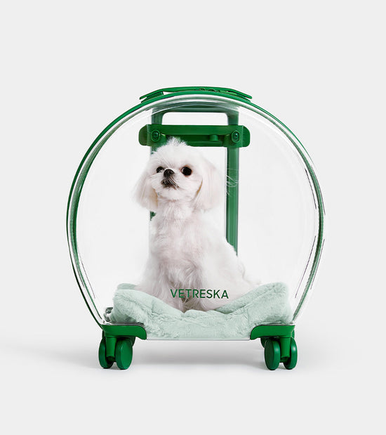 Valise Bubble pour animaux - Vert Vetreska