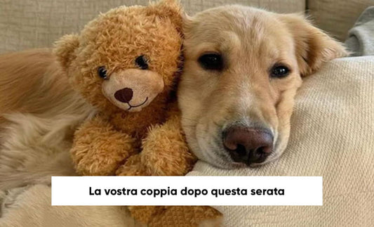 20 attività fai-da-te per una San Valentino creativo in coppia 💕