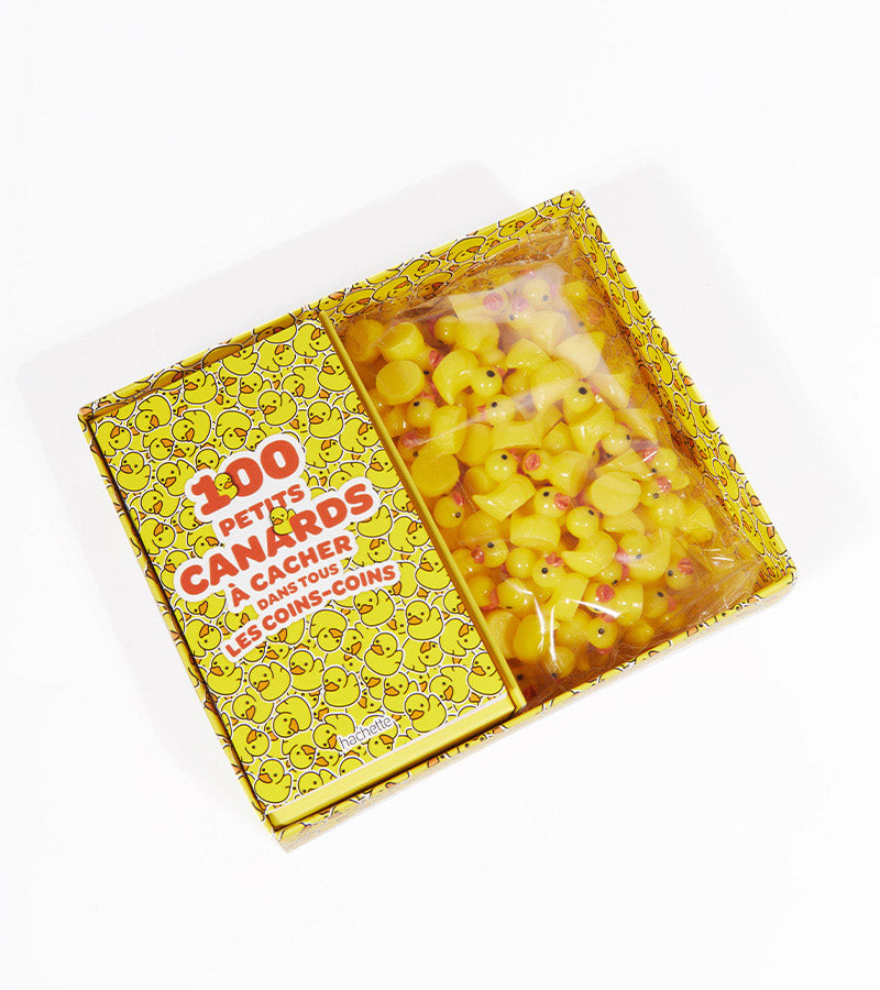 100 mini paperelle