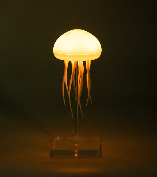 Luce notturna Medusa galleggiante