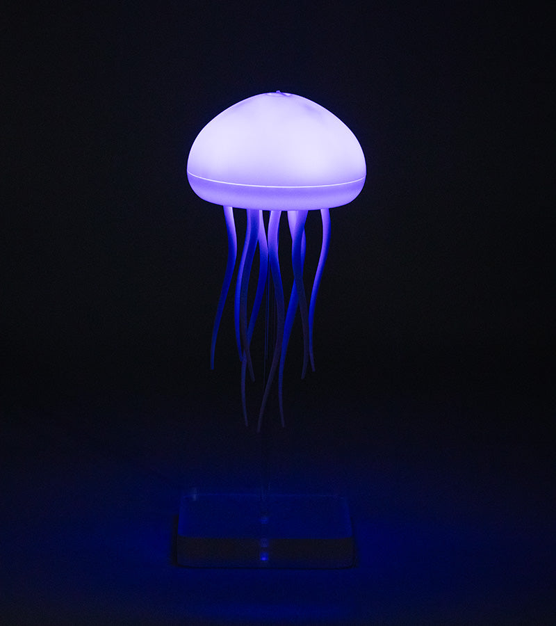 Luce notturna Medusa fluttuante