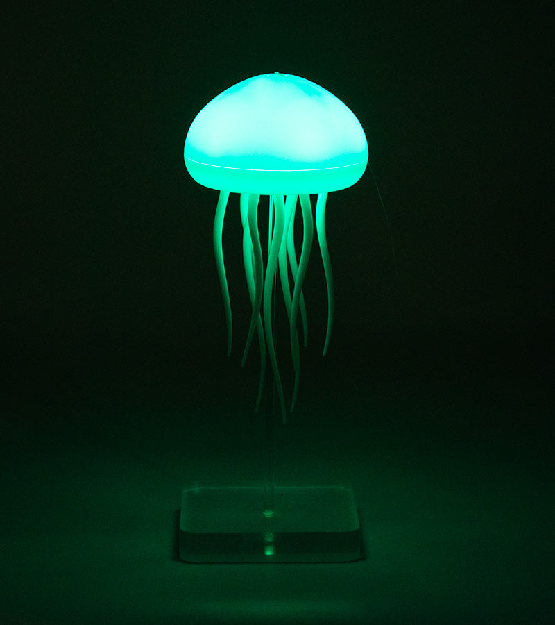 Luce notturna Medusa fluttuante