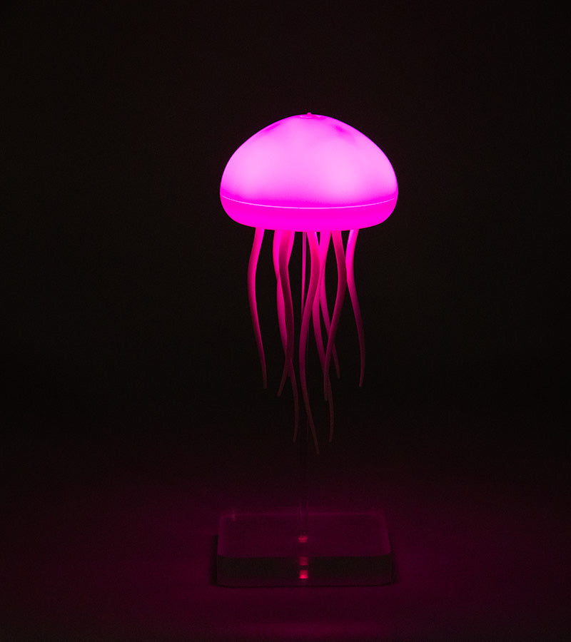 Luce notturna Medusa galleggiante