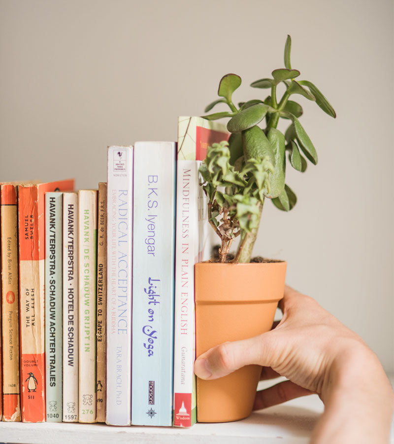 Serre-livres 2 en 1 / Pot à plantes  suck uk