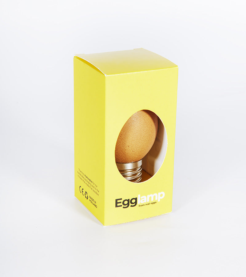 Ampoule-oeuf