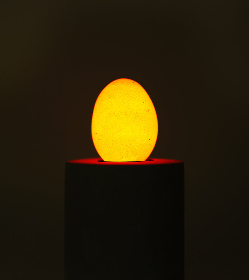 Ampoule-oeuf