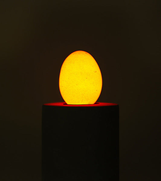 Lampadina uovo
