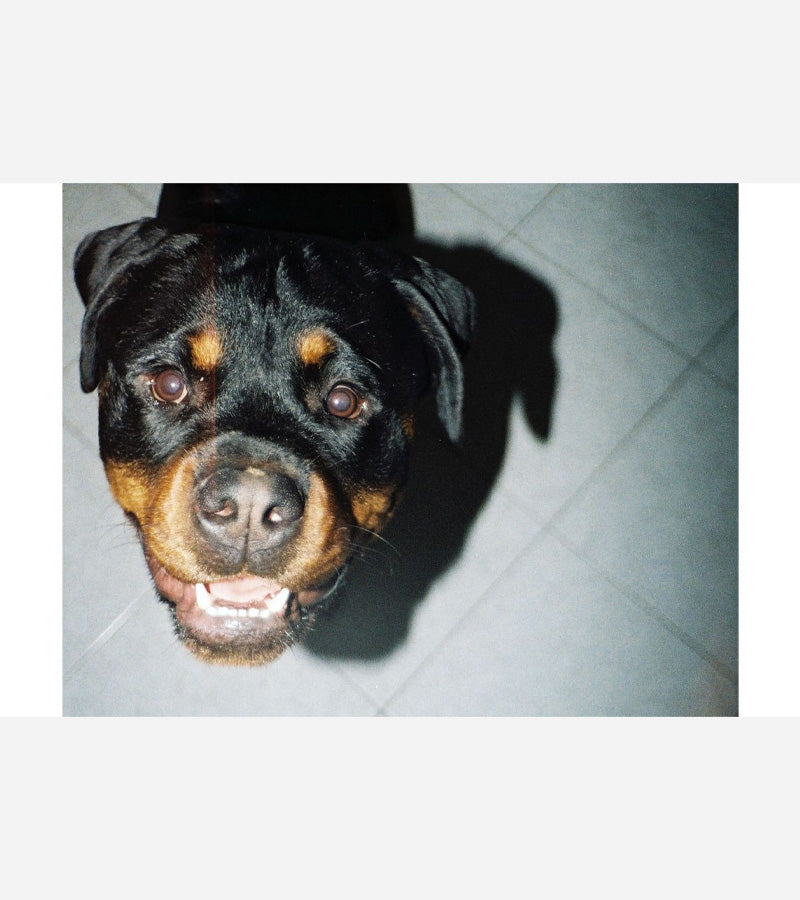 Appareil photo avec flash Lomomatic 110 - Lomography