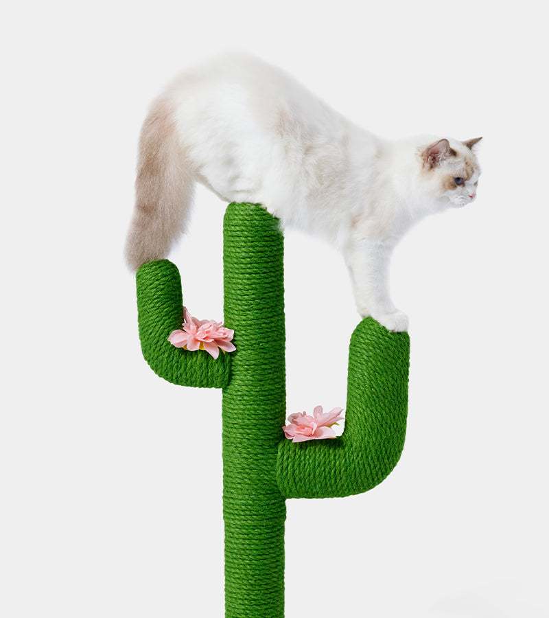 Albero per gatti - Cactus