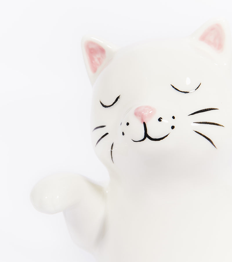 Gatto annaffiatoio