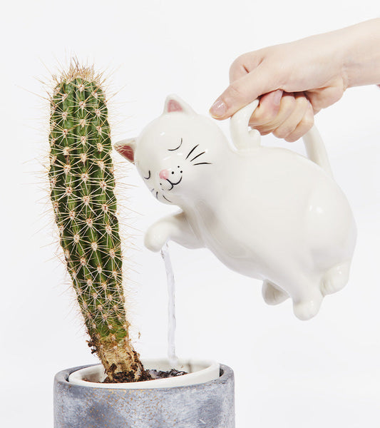 Gatto annaffiatoio