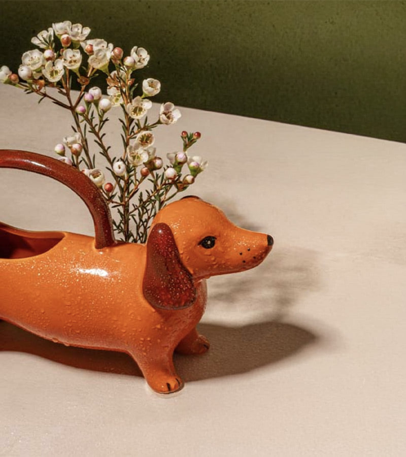 Annaffiatoio bassotto