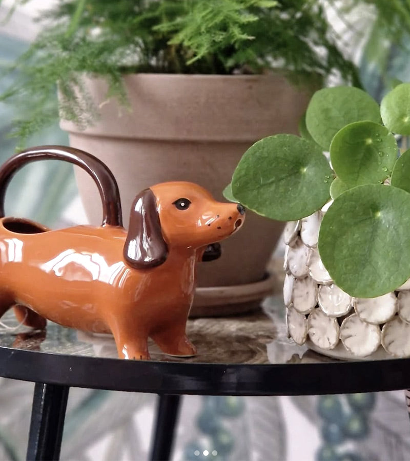 Annaffiatoio bassotto