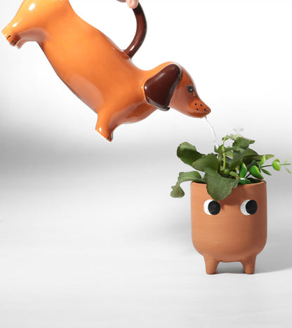 Annaffiatoio bassotto