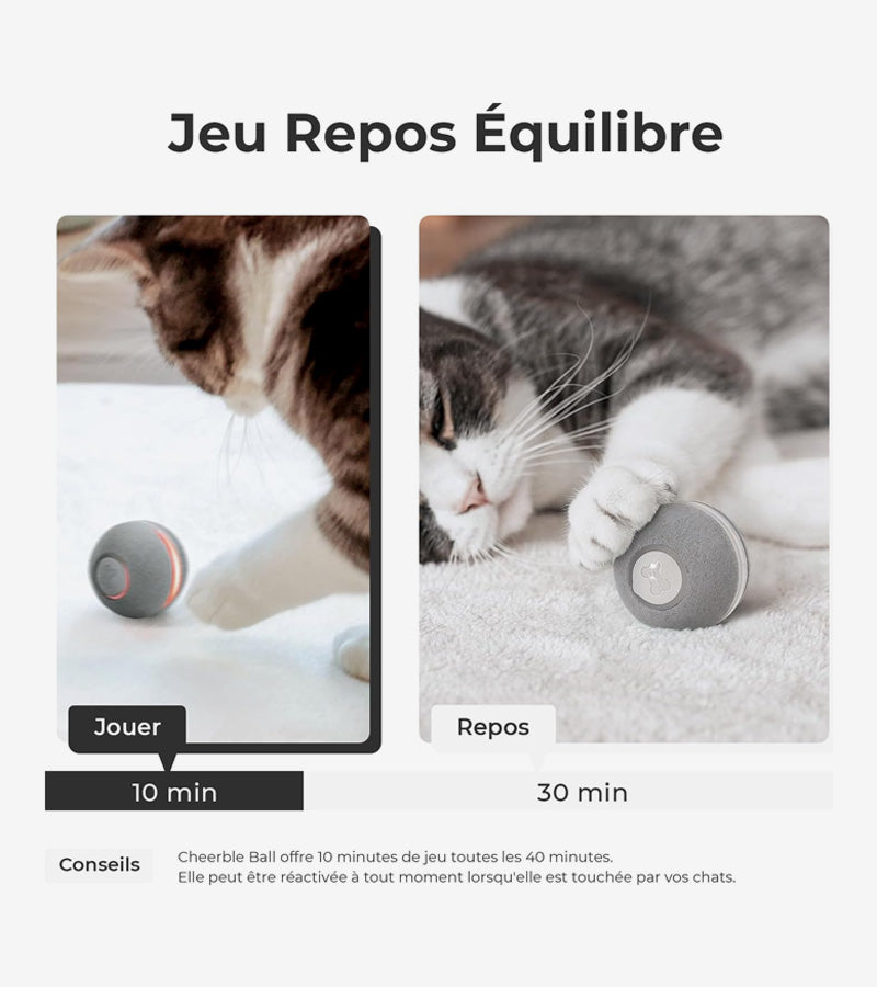 Balle interactive pour chats