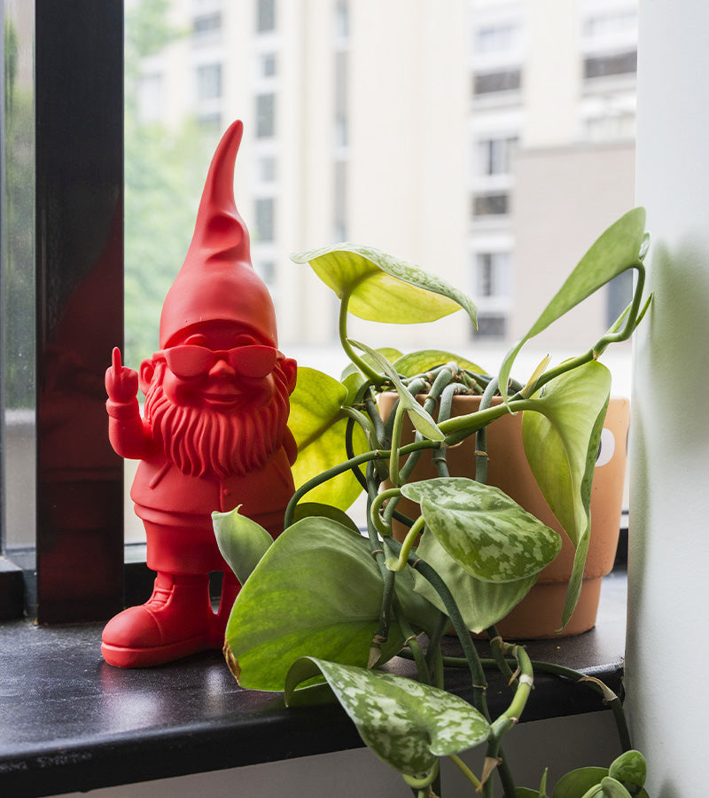 Bernardo le nain de jardin