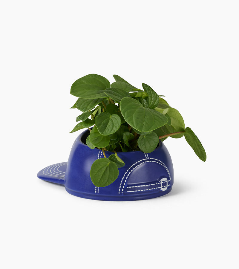 Ciotola multifunzione cappellino da baseball