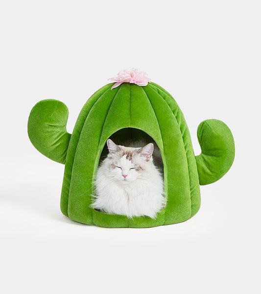 Casa per animali domestici Cactus