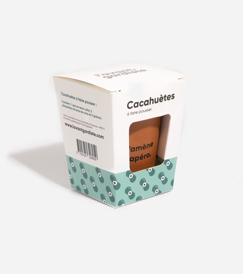 Cacahuètes à faire pousser  L'Avant Gardiste