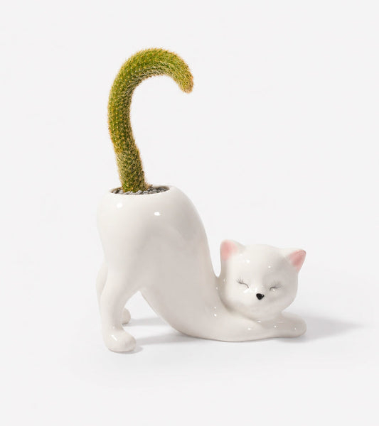 Portavaso Gatto Yoga
